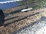 3N1AB7AP7GY****** Wrecked 2016 Nissan Sentra in Ohio State