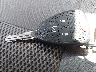 1J4GA64128L****** Salvage 2008 Jeep Wrangler in Montana State
