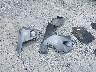 JTMWFREVXEJ****** Destrozados 2014 Toyota RAV4 en Estado de Florida