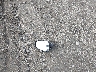 KM8J2CA43MU****** Destrozados 2021 Hyundai Tucson en Estado de Alaska