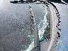 2HGFA16558H****** Wrecked 2008 Honda Civic in California State