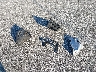 2GKALUEK3D6****** Wrecked 2013 GMC Terrain in Indiana State