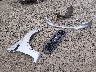 1FTER1FH8ML****** Used and Repairable 2021 Ford Ranger in Eugene