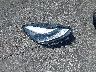 5YJ3E1EC4NF****** Salvage 2022 Tesla Model 3 in Nevada State