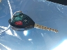 JTEBU5JR5A5****** Salvage 2010 Toyota 4Runner in California State