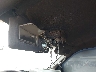 1FTEW1EF7GF****** Salvage and Repairable 2016 Ford F-150 in North Carolina State