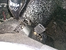 JHLRD78853C****** Salvage 2003 Honda CR-V in Idaho State