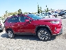 2T3C1RFV9SW****** Repairable 2025 Toyota RAV4 in California State