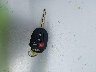 5YFBURHE5GP****** Salvamento 2016 Toyota Corolla en Estado de Missouri