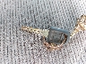1GCGC33R2XF****** Salvamento 1999 Chevrolet C/K 3500 en Estado de Texas