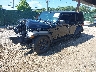 1C4HJXDG1MW****** Usados y Reparables 2021 Jeep Wrangler en Long Island