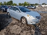 5NPEB4AC9DH****** Salvage and Wrecked 2013 Hyundai Sonata in Richmond