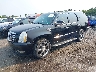 1GYFK23229R****** Used and Repairable 2009 Cadillac Escalade in Culpeper