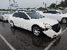 1N4BA41E27C****** Salvage and Wrecked 2007 Nissan Maxima in Memphis