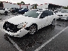 1N4BA41E27C****** Used and Repairable 2007 Nissan Maxima in Memphis