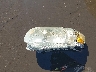 1FMCU03145D****** Wrecked 2005 Ford Escape in Arizona State