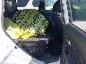 KNDJT2A67C7****** Destrozados 2012 Kia Soul en Boise