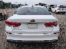5XXGT4L3XKG****** Destrozados 2019 Kia Optima