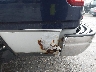 2FTRF18204C****** Destrozados 2004 Ford F-150 en Estado de Massachusetts