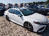 4T1G11BK8MU****** Wrecked 2021 Toyota Camry in Kentucky State