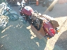 56KMSA009N3****** Salvage and Repairable 2022 Indian Scout in Rec Rides Online Exclusive