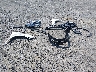 JTNKHMBXXM1****** Destrozados 2021 Toyota C-HR en Estado de Arkansas