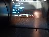 1FA6P8CF7L5****** Salvamento 2020 Ford Mustang