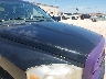 3D7KR19D97G****** Salvamento y Reparables 2007 Dodge Ram 1500 en Estado de Texas