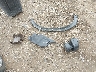 4T1GK12E6SU****** Salvage 1995 Toyota Camry in Ohio State