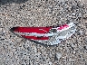 4T1B11HK2JU****** Wrecked 2018 Toyota Camry in Arkansas State