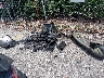 4S4BTGND6L3****** Destrozados 2020 Subaru Outback en Estado de Florida