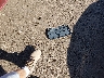 1FAHP35N59W****** Wrecked 2009 Ford Focus in Ohio State