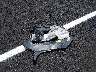 1FMCU0F75KU****** Wrecked 2019 Ford Escape in Tennessee State