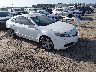 19UUA9F74CA****** Salvage and Wrecked 2012 Acura TL in Houston