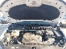 2C4RC1BG6HR****** Repairable 2017 Chrysler Pacifica in Saint Louis