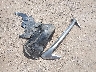 KM8K53A33NU****** Wrecked 2022 Hyundai Kona in Texas State