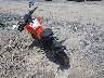 MD2JPJ40XRN****** Salvamento y Reparables 2024 KTM Duke en Rec Rides Online Exclusive