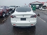 5YJ3E1EA0PF****** Destrozados 2023 Tesla Model 3