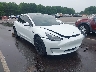 5YJ3E1EA0PF****** Salvamento y Destrozados 2023 Tesla Model 3 en Raleigh