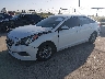 5NPE24AF2GH****** Usados y Reparables 2016 Hyundai Sonata en Houston South