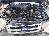 1FMCU03ZX8K****** Reparables 2008 Ford Escape en Shady Spring
