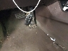 5XYZWDLA0HG****** Salvamento 2017 Hyundai Santa Fe en Estado de Nueva York