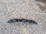 1FAHP2E86FG****** Destrozados 2015 Ford Taurus en Estado de Iowa