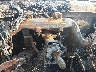 1GNSCJE02DR****** Salvamento 2013 Chevrolet Suburban en Lexington