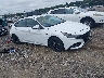 KMHLR4AF8PU****** Salvamento y Destrozados 2023 Hyundai Elantra en Long Island