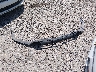 5NPEG4JA1NH****** Wrecked 2022 Hyundai Sonata in Louisiana State