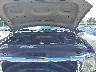 1FMPU18L8WL****** Reparables 1998 Ford Expedition en Nashville