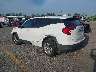3GKALMEV8LL****** Salvamento y Reparables 2020 GMC Terrain en West Palm Beach