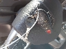 2C3CDYAG6DH****** Salvage 2013 Dodge Challenger in Texas State