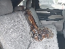 5TDJKRFH4FS****** Repairable 2015 Toyota Highlander in Maryland State